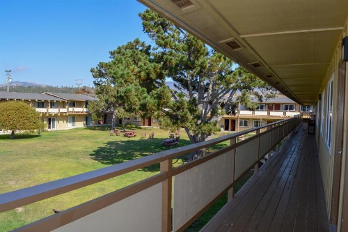 Silver Surf Motel image 14